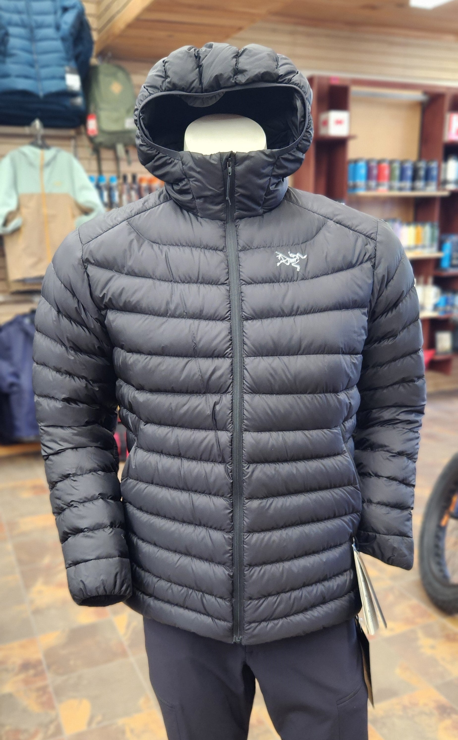 Arc'teryx Cerium LT Hoody Women's