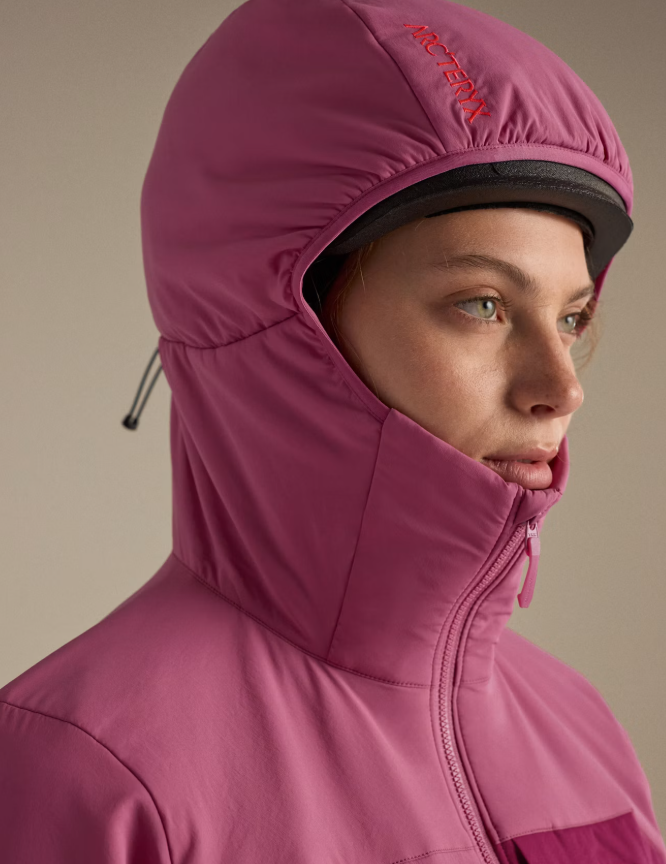 Proton Hoody W