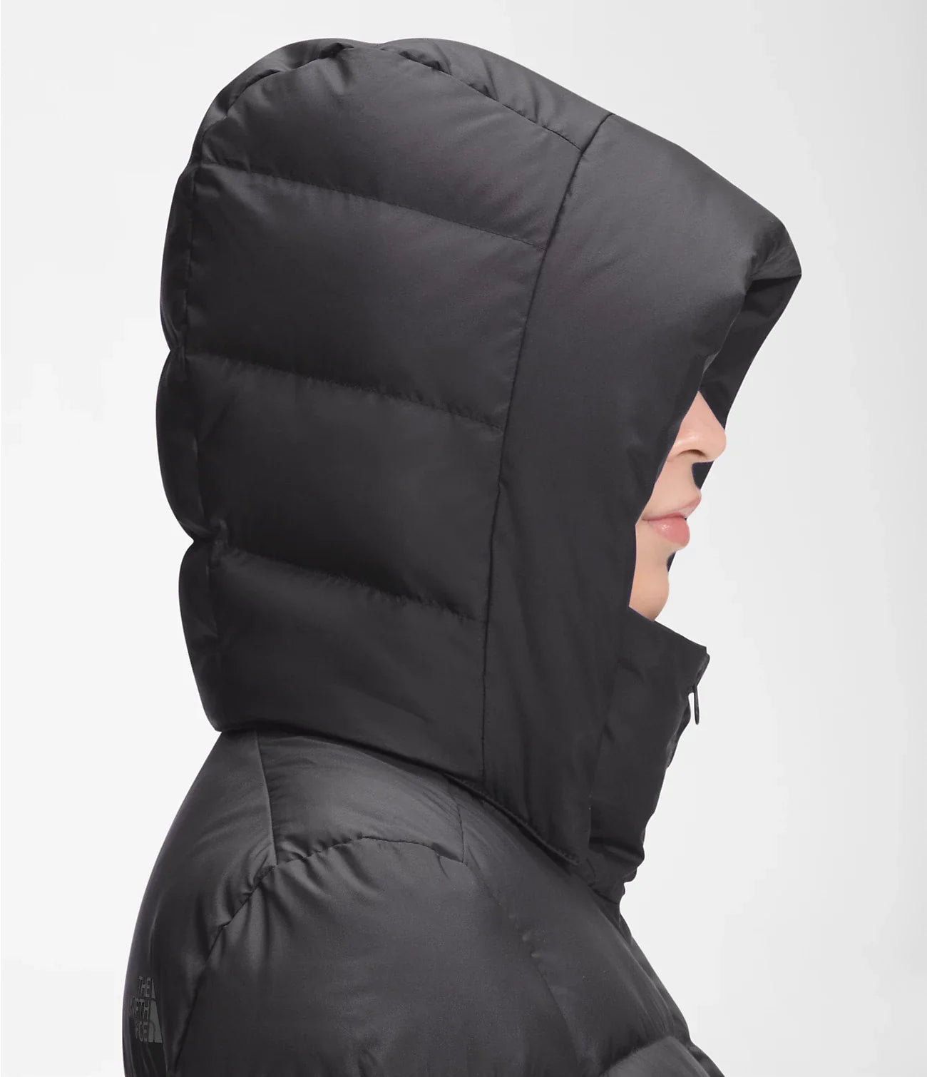 The north face Metropolis Women's Parka