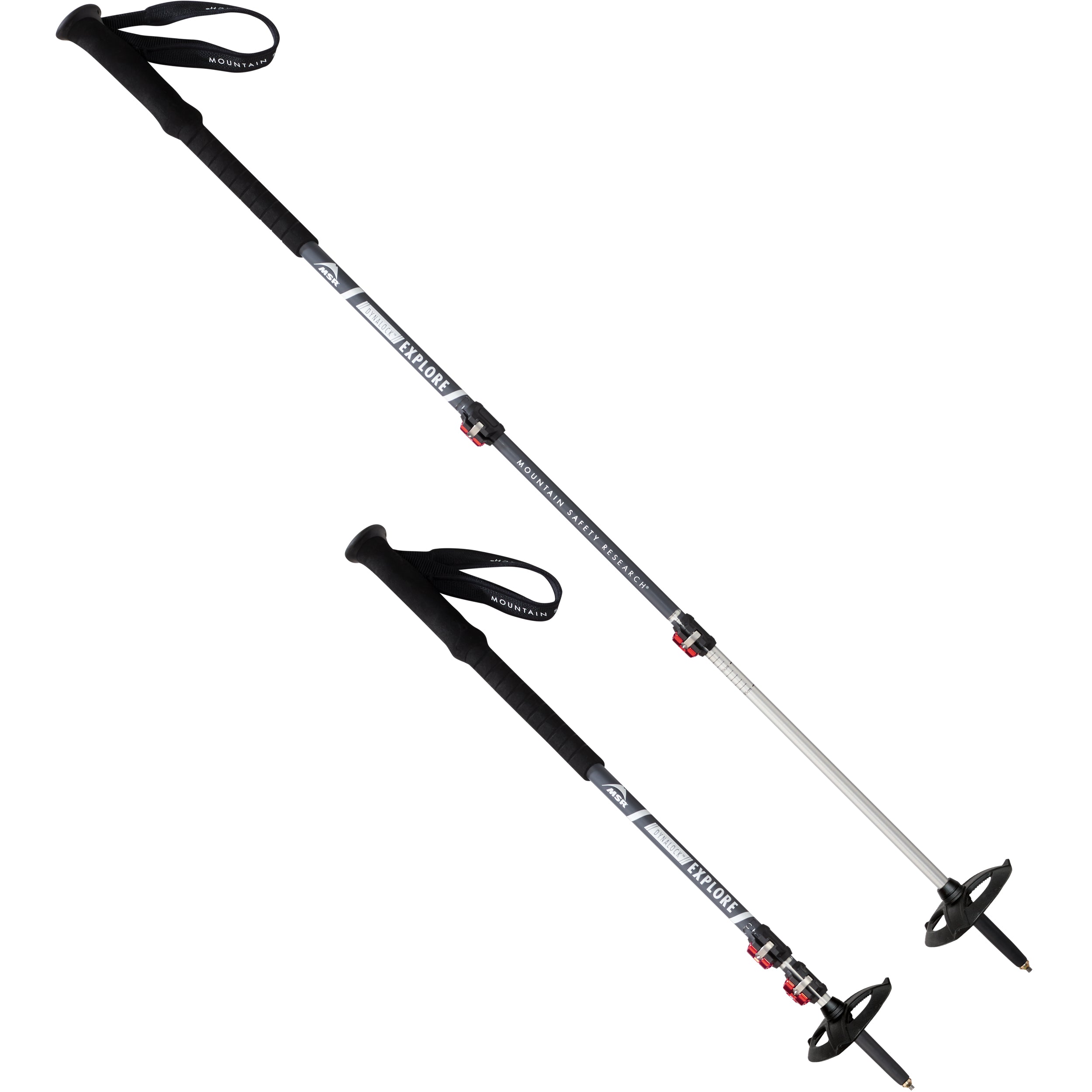 MSR Dynalock Explore backcountry trekking poles