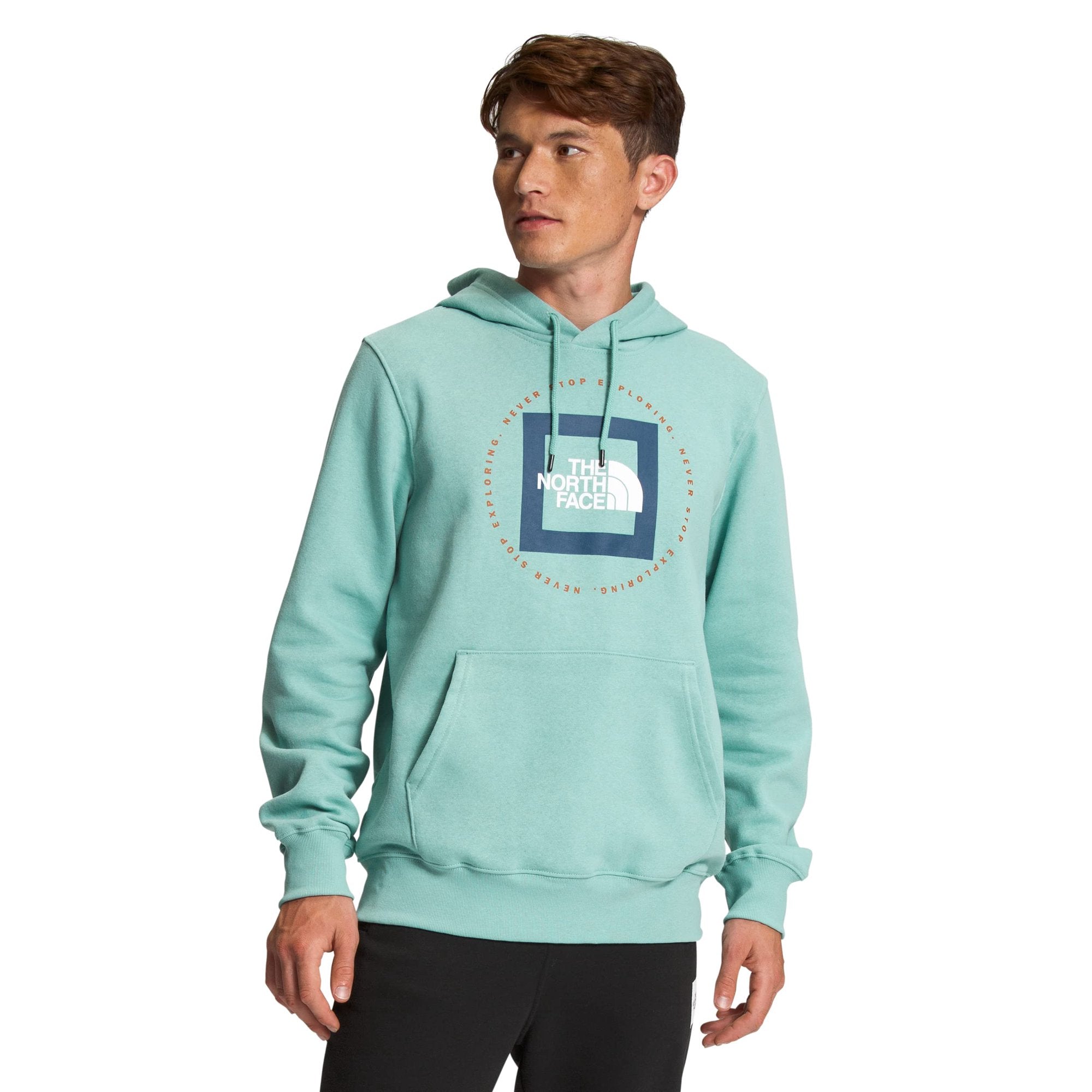 Hoodie Geo NSE North Face Homme