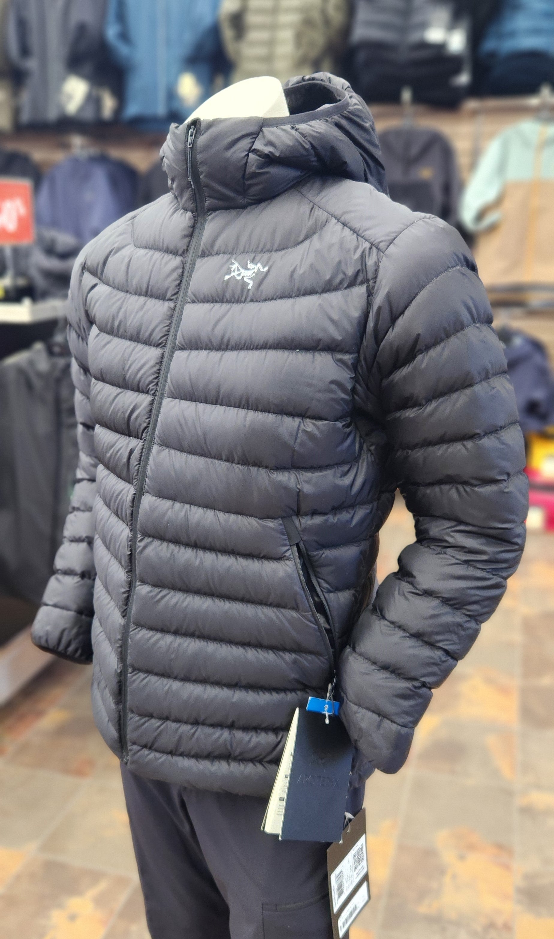 Arc'teryx Cerium LT Hoody Women's
