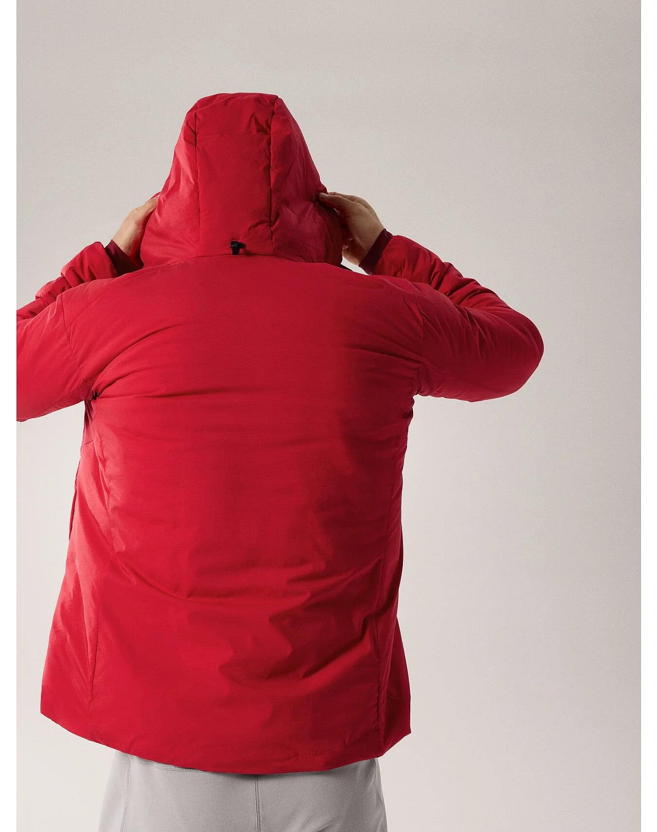 Arc'teryx Atom Heavyweight Hoody Homme