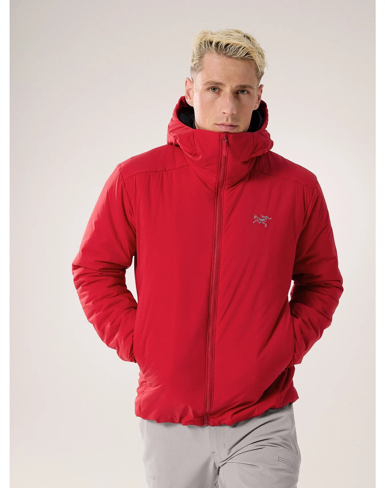 Arc'teryx Atom Heavyweight Hoody Homme