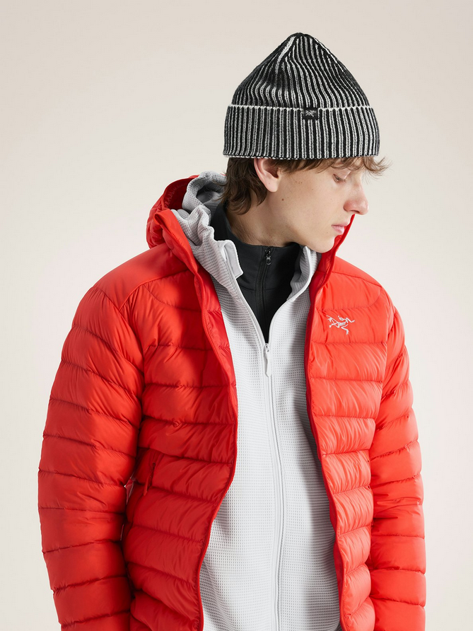 Arc'teryx Ribbed Toque